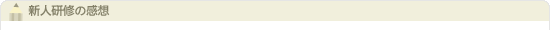 新人研修の感想